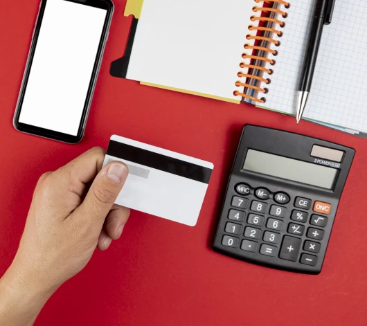 Students walking up school steps